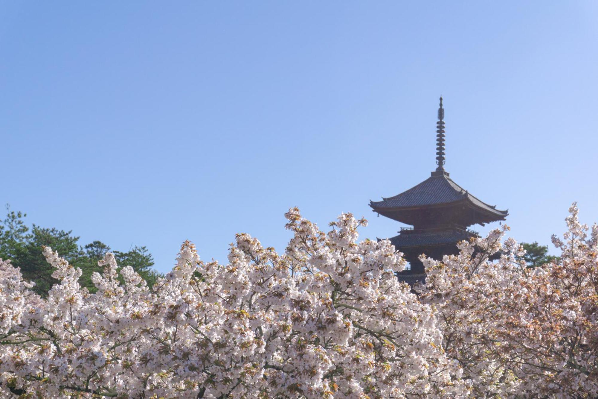 Tokyu Stay Kyoto Sakaiza Shijo Kawaramachi Exteriér fotografie
