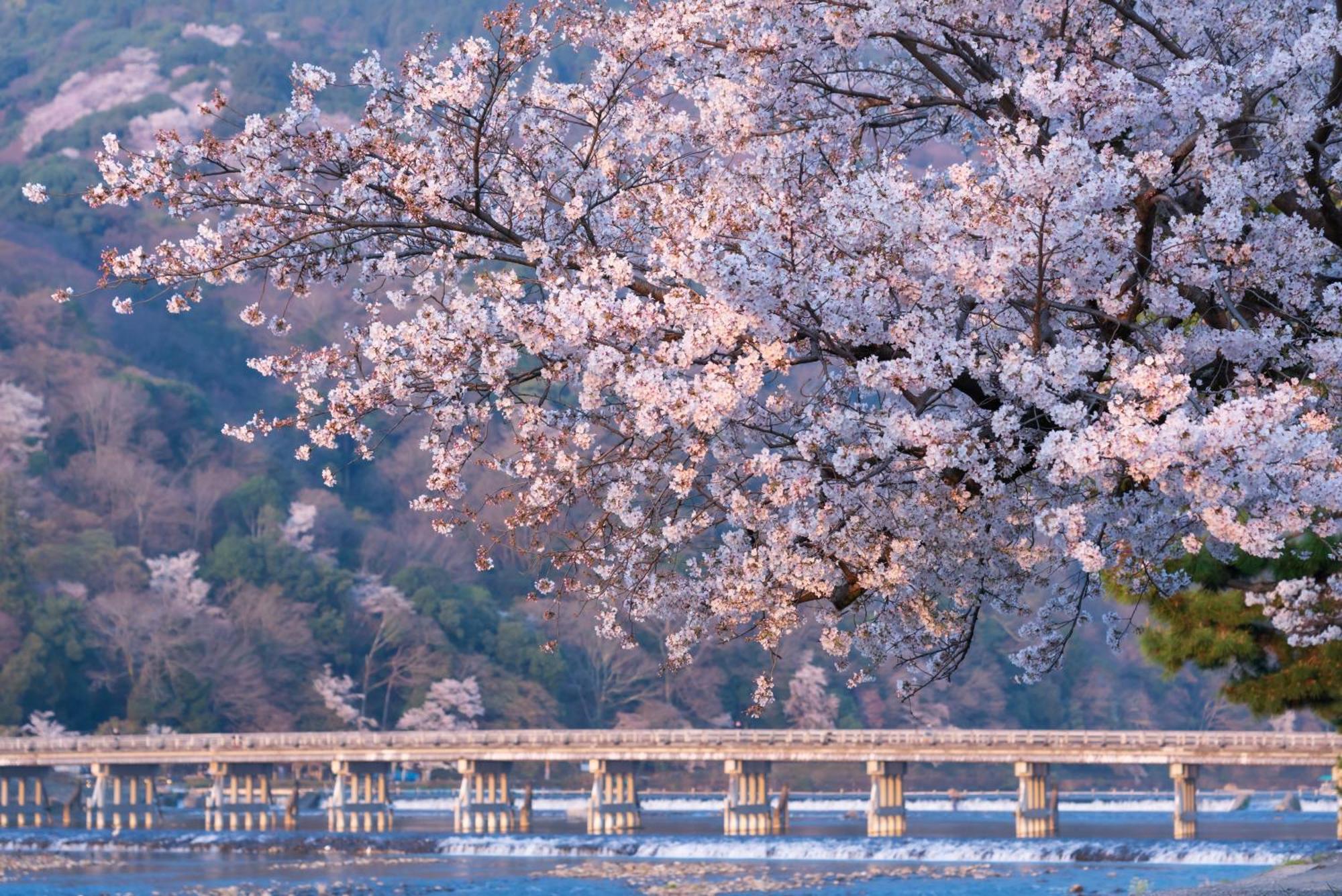 Tokyu Stay Kyoto Sakaiza Shijo Kawaramachi Exteriér fotografie