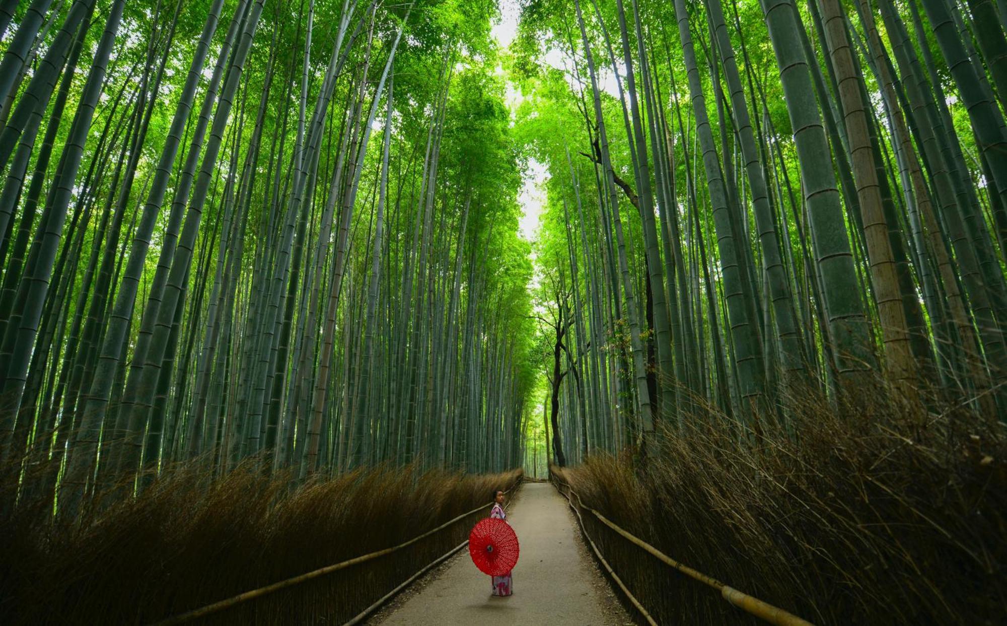 Tokyu Stay Kyoto Sakaiza Shijo Kawaramachi Exteriér fotografie
