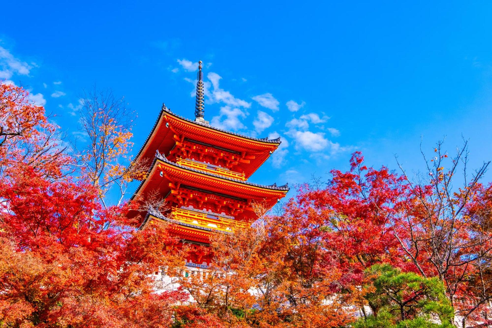 Tokyu Stay Kyoto Sakaiza Shijo Kawaramachi Exteriér fotografie