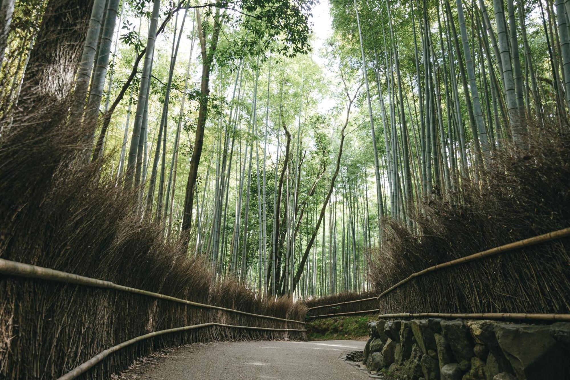 Tokyu Stay Kyoto Sakaiza Shijo Kawaramachi Exteriér fotografie